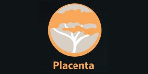 Placenta Kodi Addon installieren