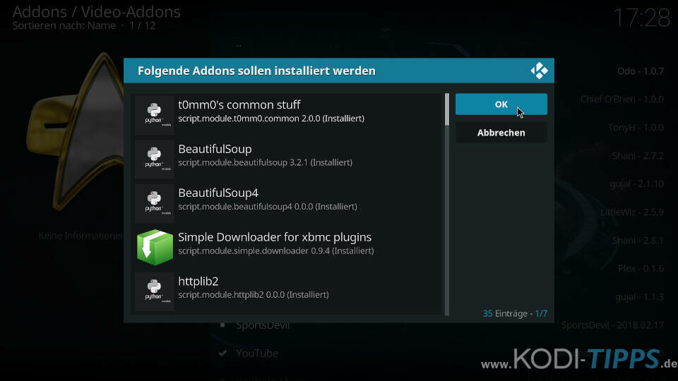 DS9 Kodi Addon installieren - Schritt 9