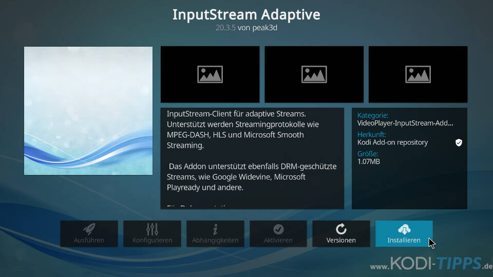 Kodi InputStream Adaptive & RTMP Input installieren - Schritt 7