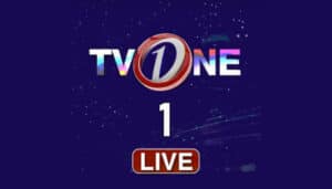 TVOne Kodi Addon installieren