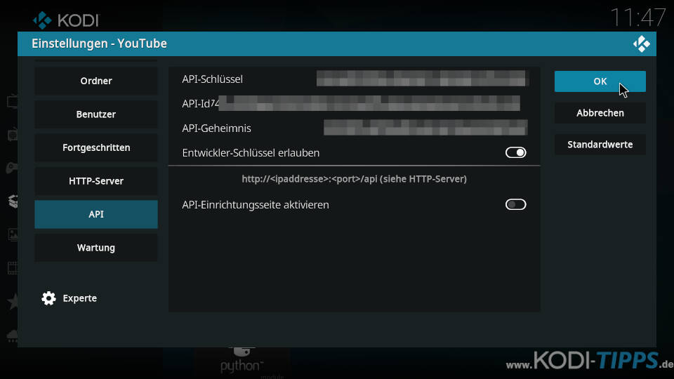API Key im YouTube Kodi Addon eintragen - Schritt 4
